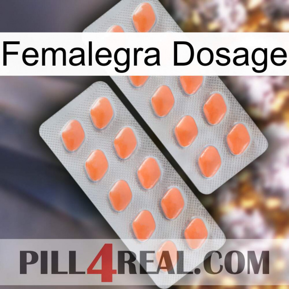 Femalegra Dosage 27.jpg